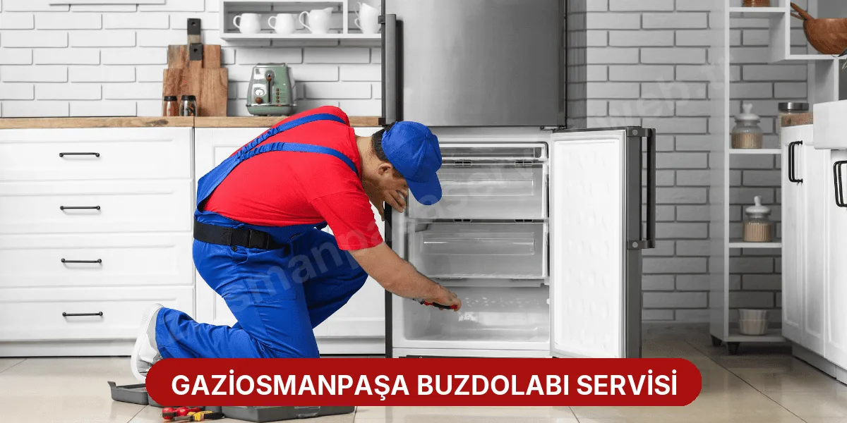 Gaziosmanpaşa Buzdolabı Servisi