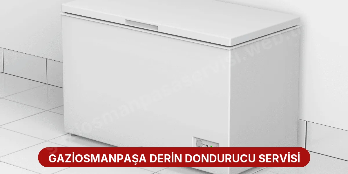 Gaziosmanpaşa Derin Dondurucu Servisi