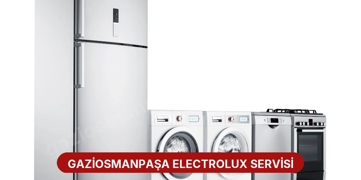 Gaziosmanpaşa Electrolux Servisi