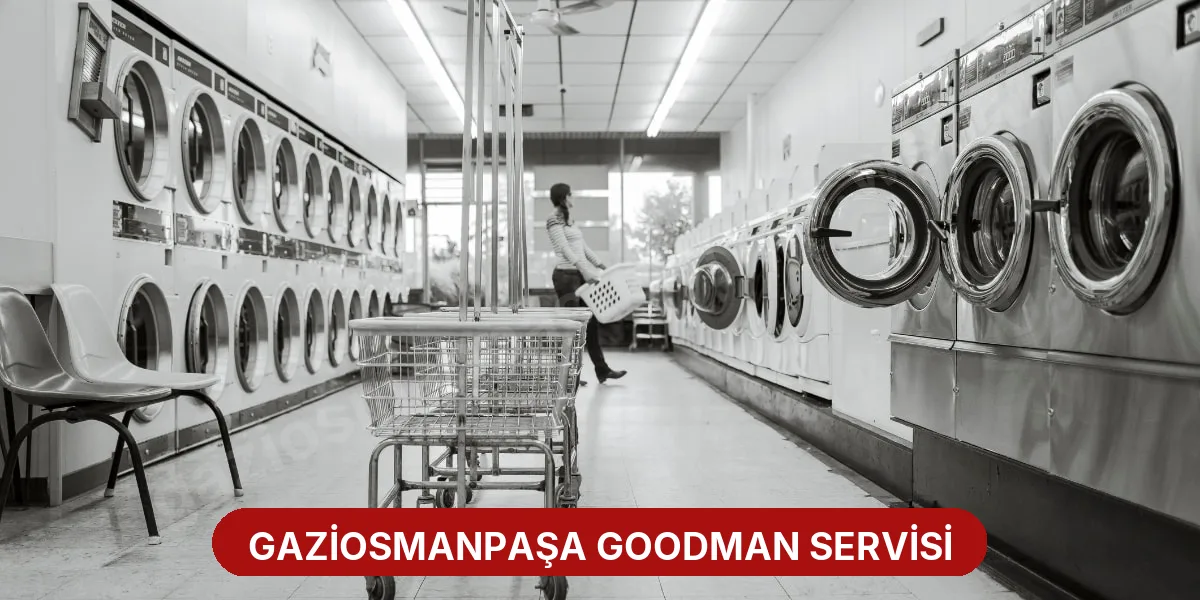 Gaziosmanpaşa Goodman Servisi
