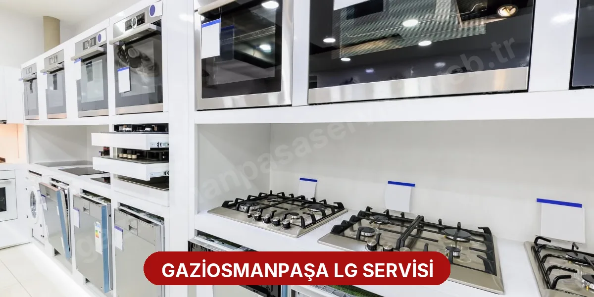 Gaziosmanpaşa LG Servisi