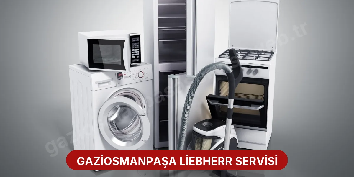 Gaziosmanpaşa Liebherr Servisi