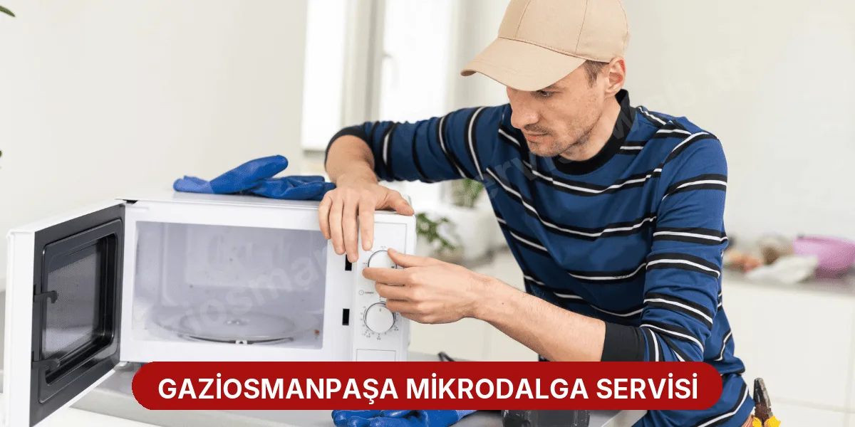 Gaziosmanpaşa Mikrodalga Servisi
